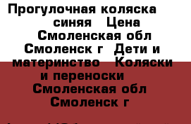 Прогулочная коляска Zooper Waltz синяя › Цена ­ 2 000 - Смоленская обл., Смоленск г. Дети и материнство » Коляски и переноски   . Смоленская обл.,Смоленск г.